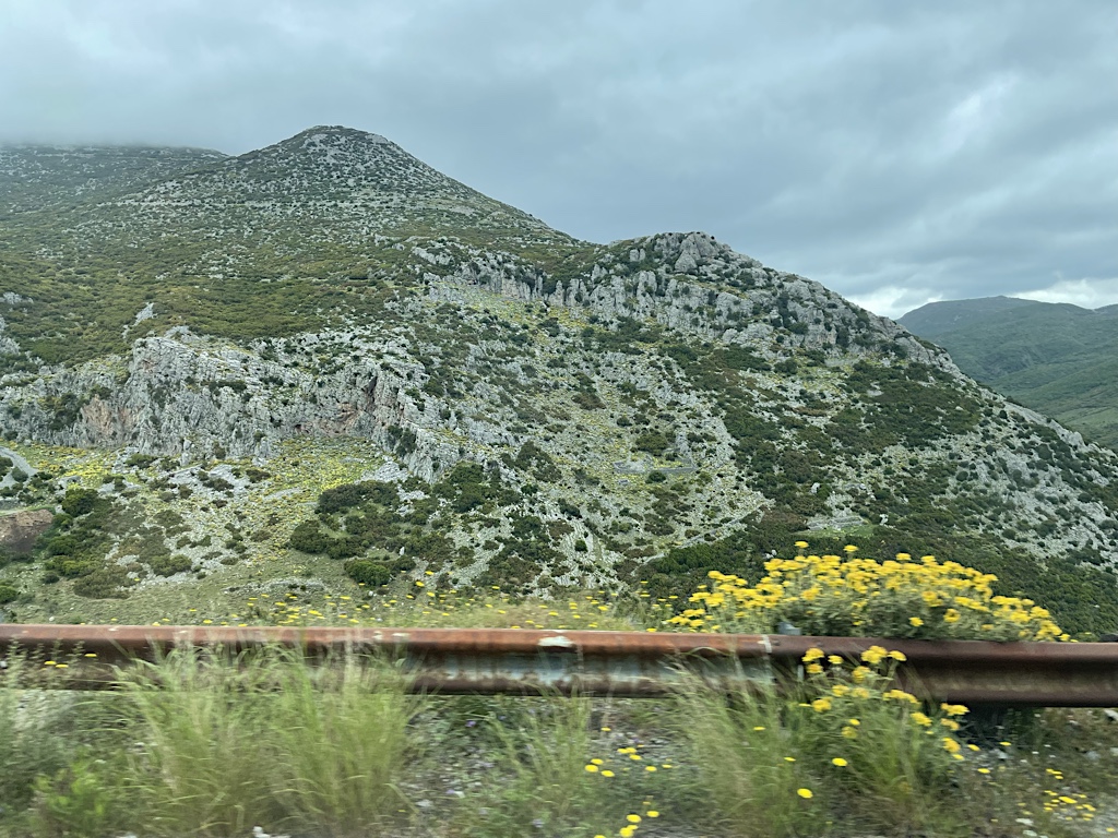 As we drove past Thebes, Giorgos pointed out the spot where Oedipus met and killed his father.