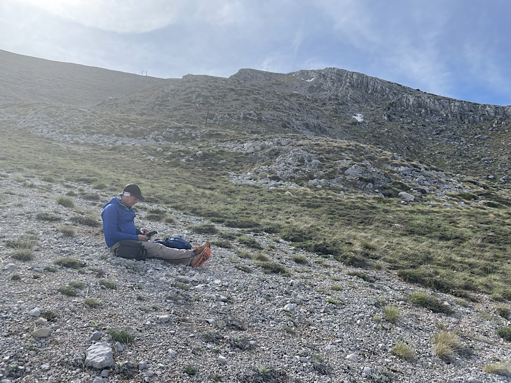 Greece, land of spiky plants. Every single green bit there will stick in your feet.