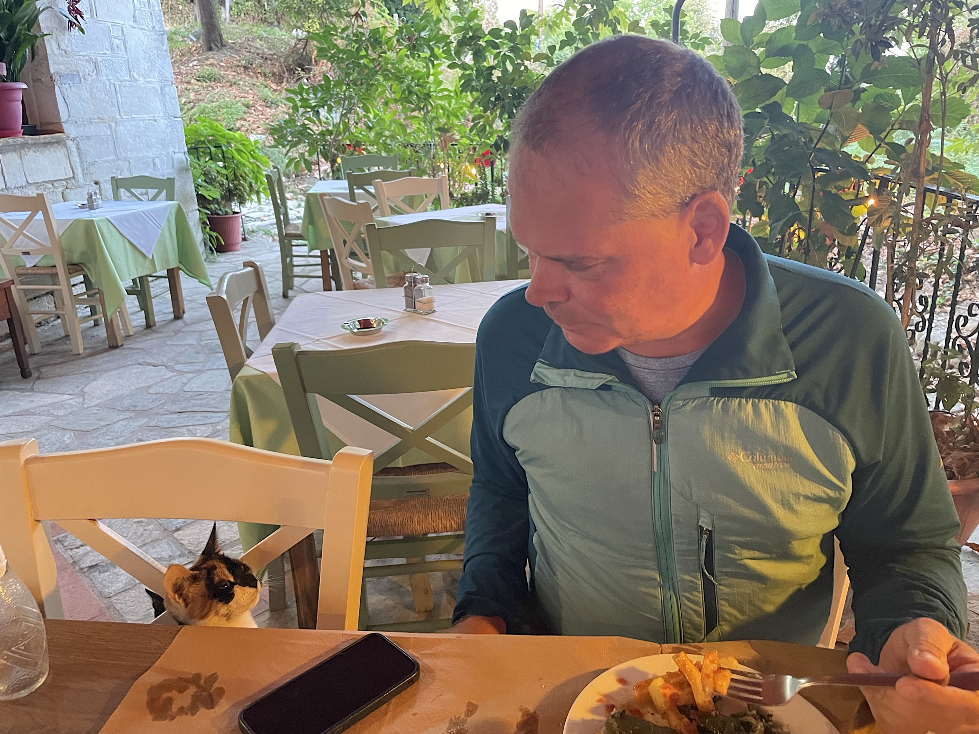 A cat joined us for dinner.