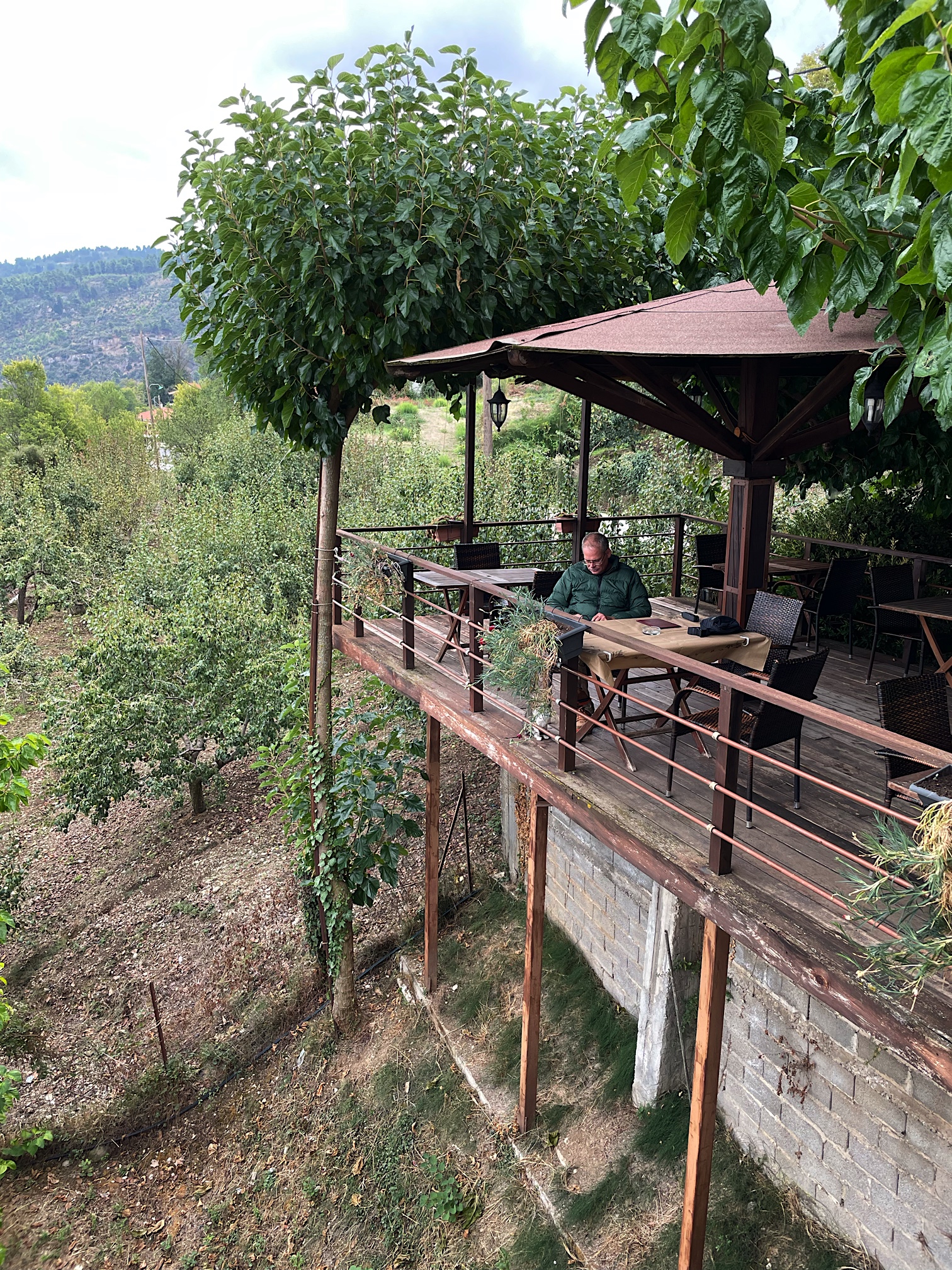 We stopped for lunch at a cafe on the side of a mountain.