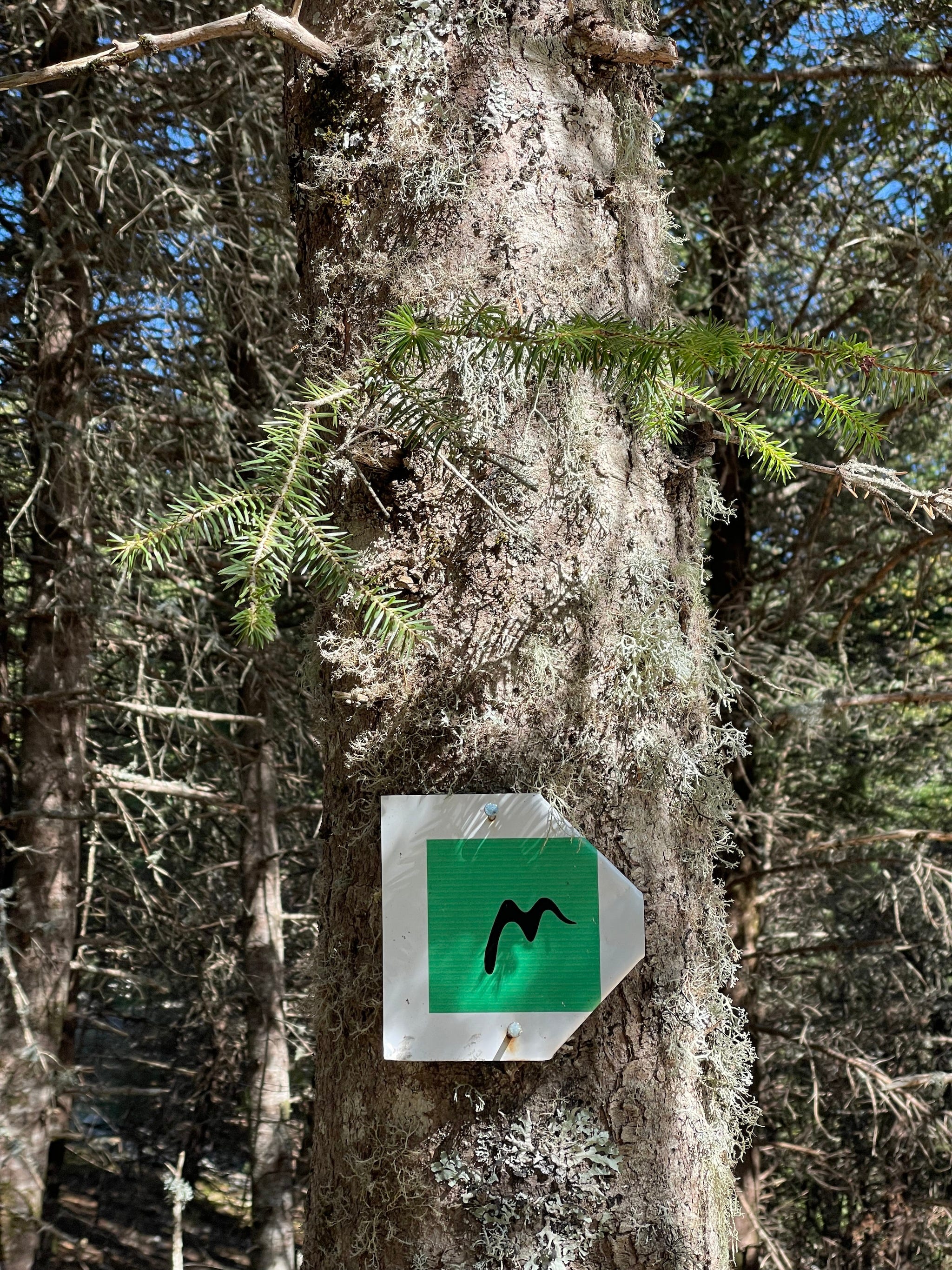 A directional blaze. Clever!