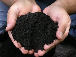 Garden soil.
