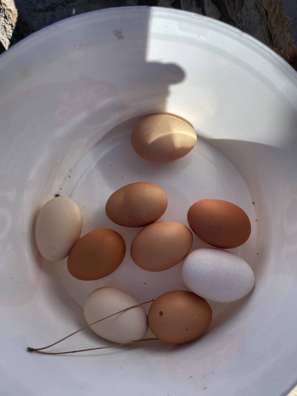 These eggs were delicious for breakfast the next morning.