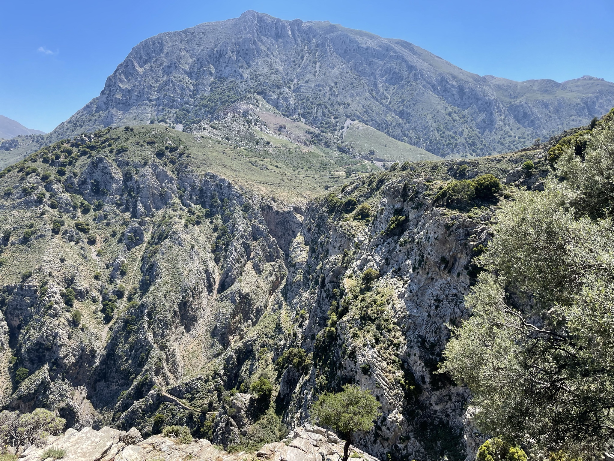 Maybe I’ve just grown cowardly with age, but there’s an edge right there!