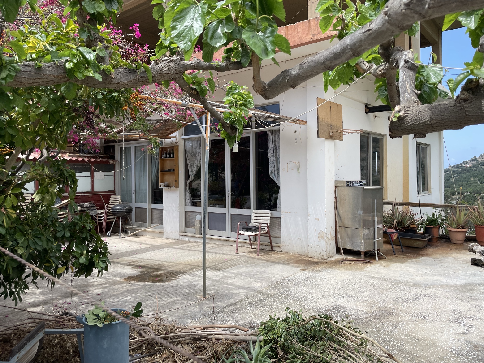 Imagine this patio full of tables.