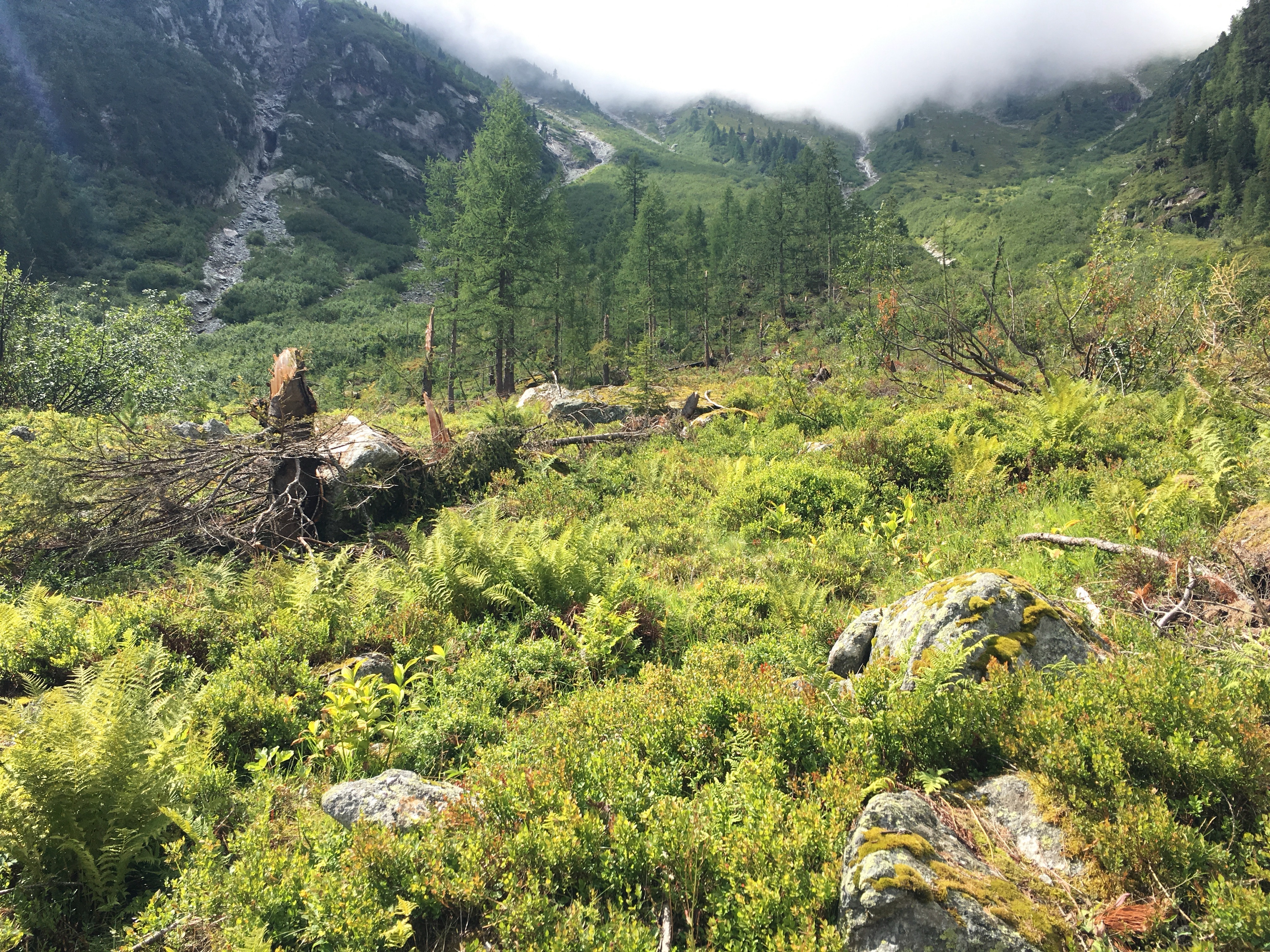 A storm – or avalanche? – must have come through.