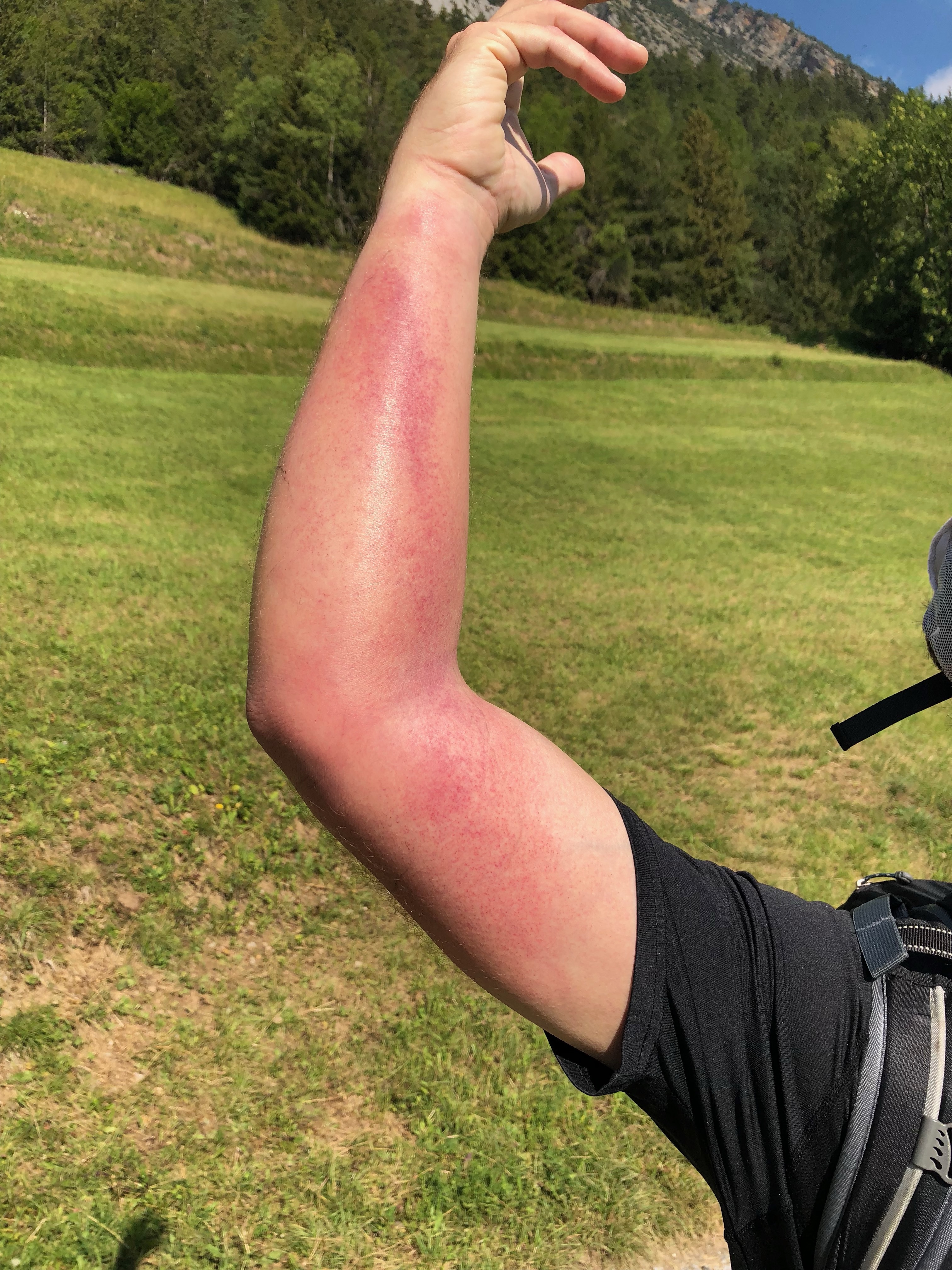 This does not look good.