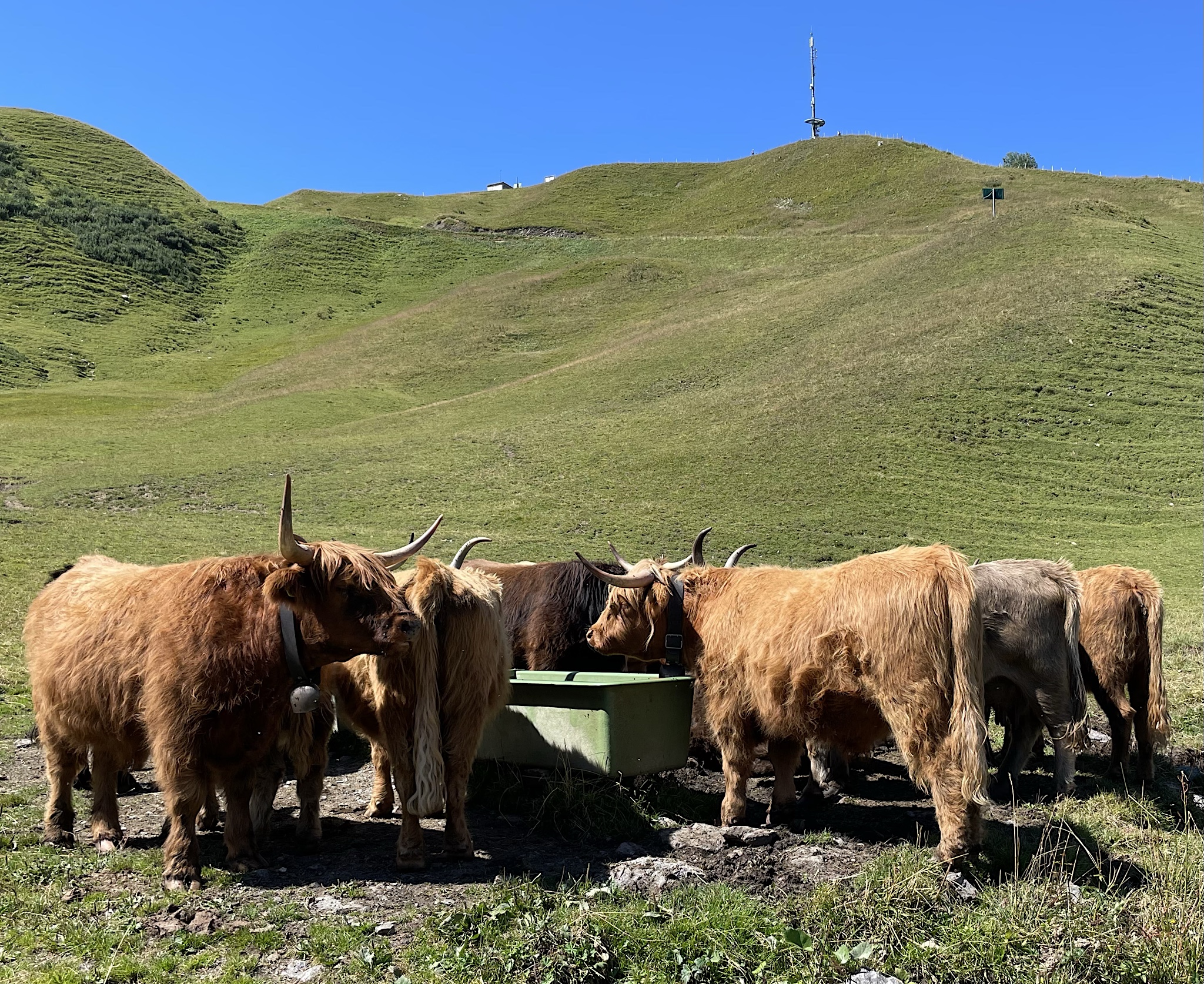 There’s a Texas longhorn ranch on the far side of the pass.