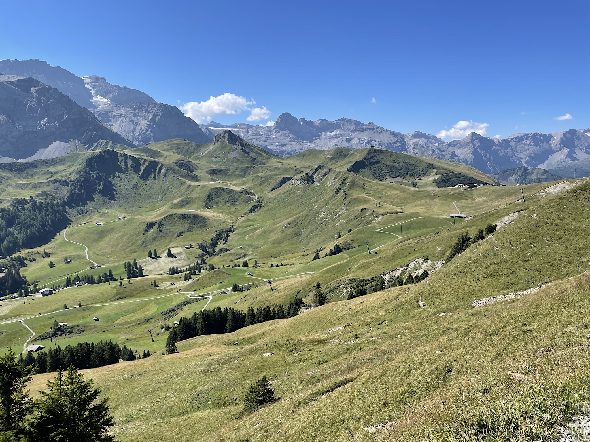 Today’s pass, the Hahnenmoospass, was flat and grassy. You can see it in the saddle on the ridge at the end of the valley.