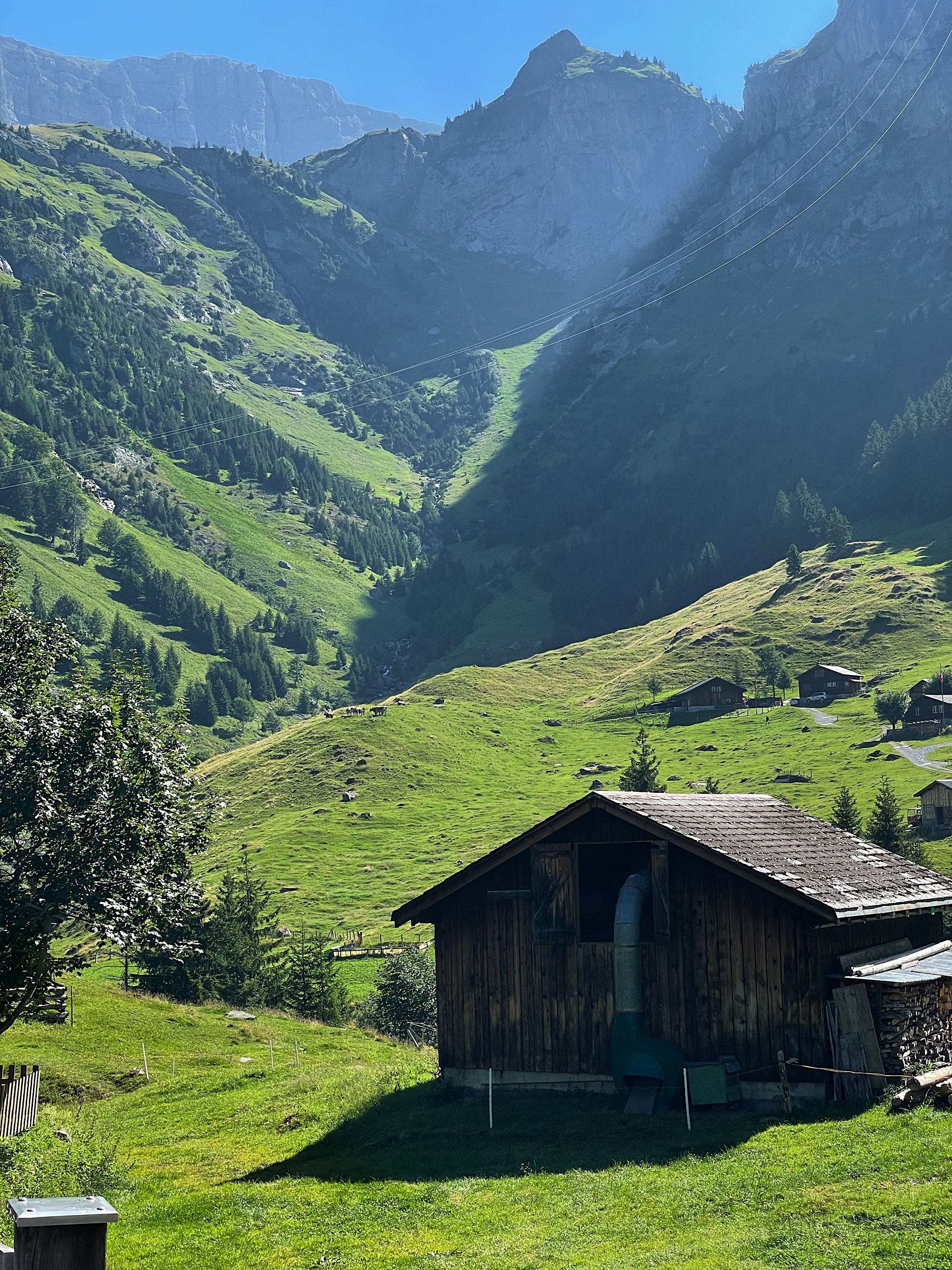 Could this be more bucolic!