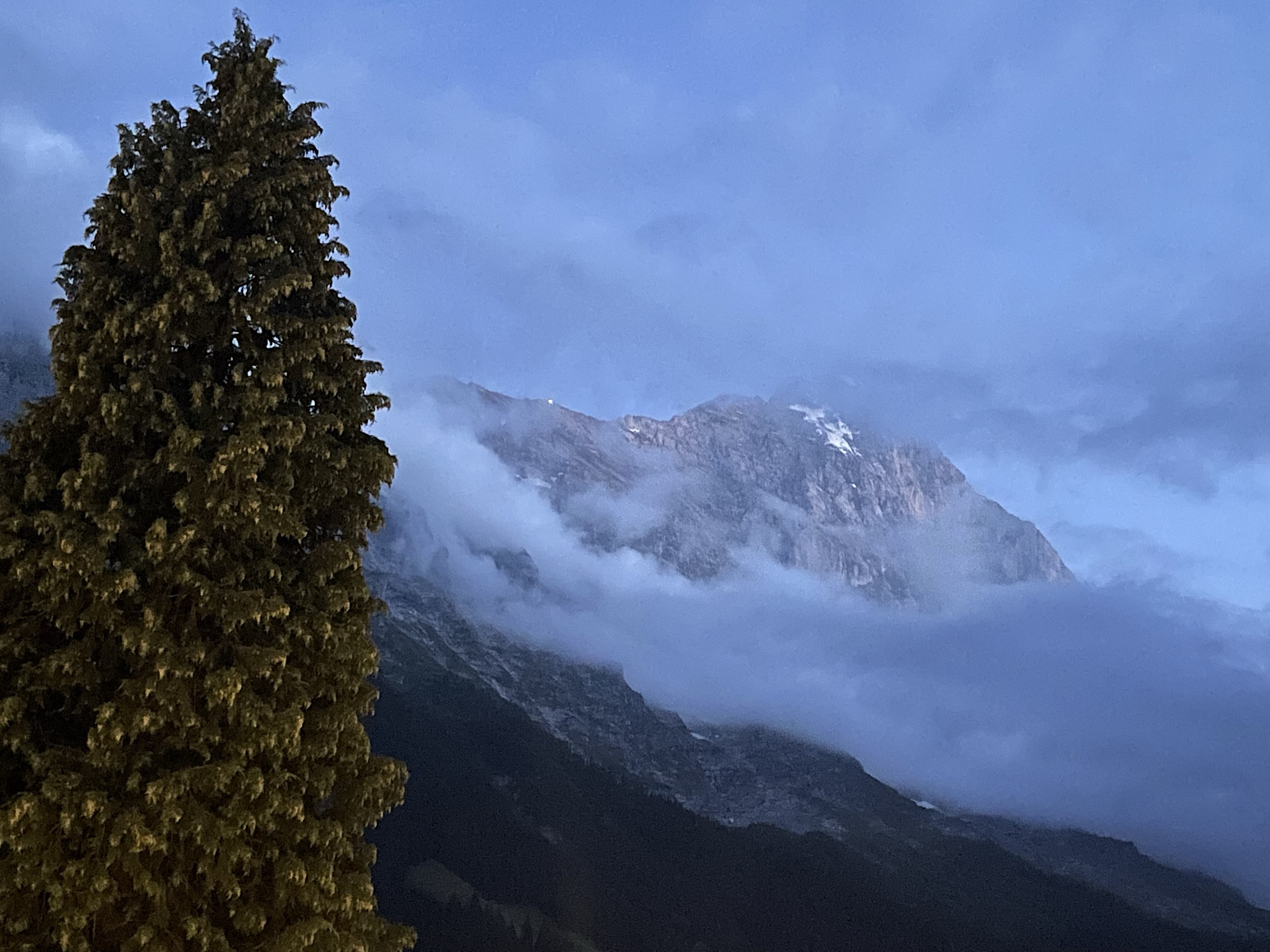 The light on the ridge is the Mitteleggi Hutte, where Eiger climbers can spend the night before summiting the next morning. That ridge walk is something I do NOT want to do!