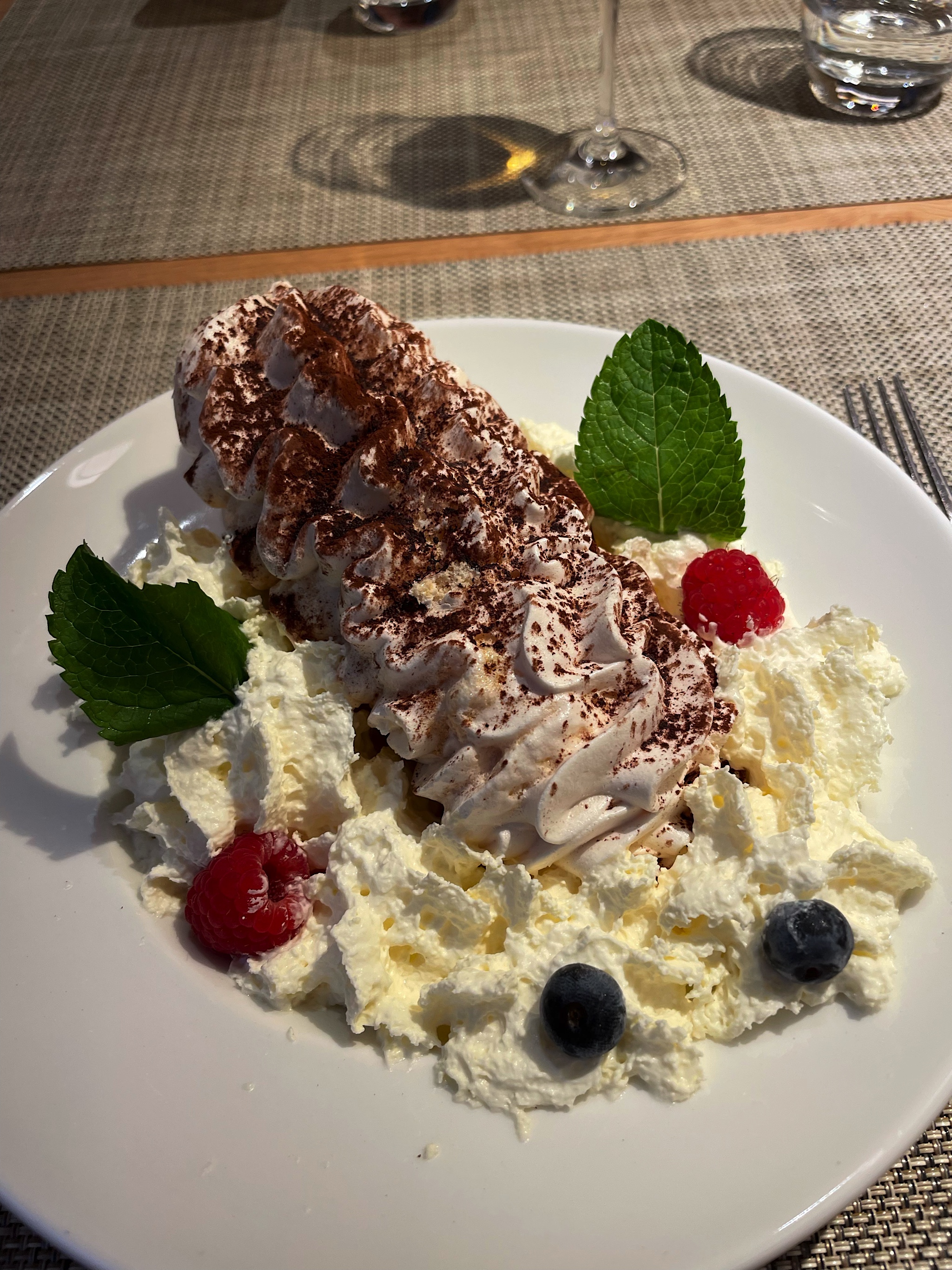 We had a good steak for dinner, followed by this meringue, which looks like a marine arthropod from the Carboniferous period.