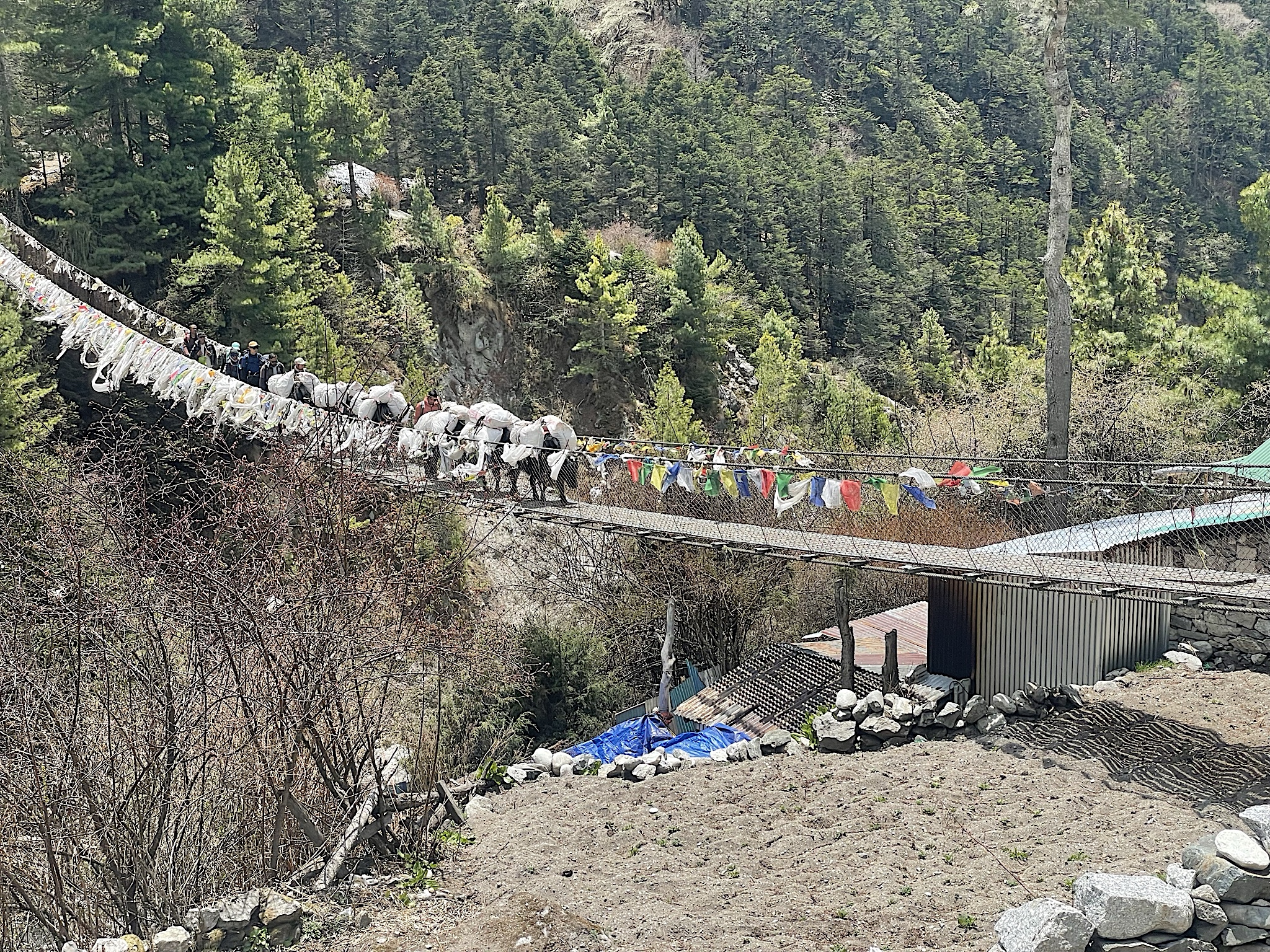 The start of the trail after lunch.