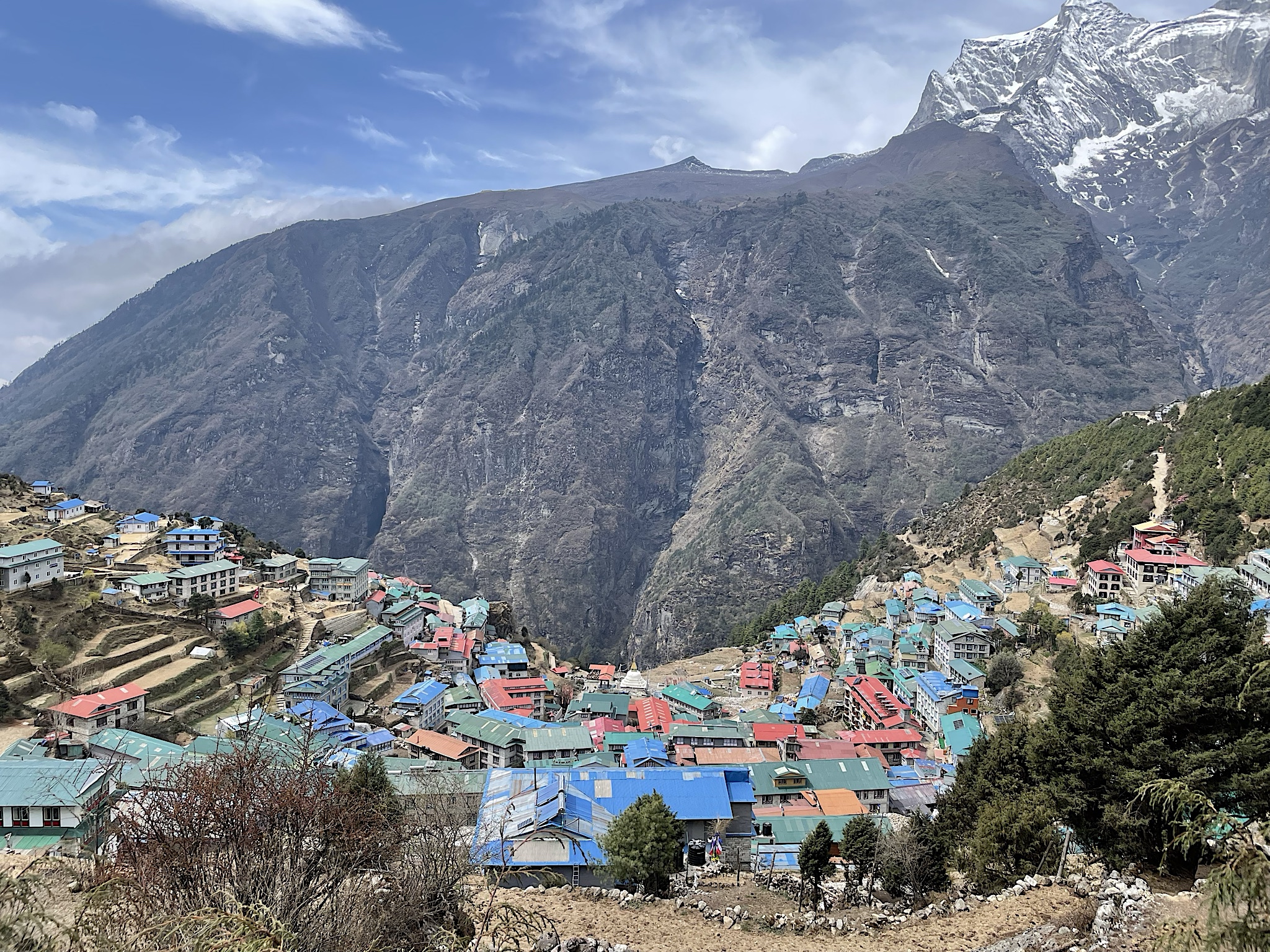 The colorful rooftops look so bright and happy in the sunshine!